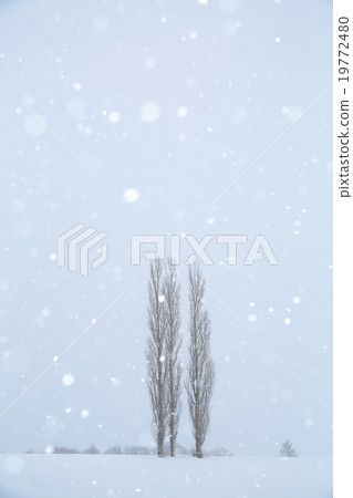 下雪的小山 19772480