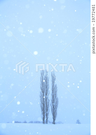 Snowing falling hill 19772481