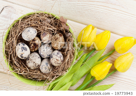 Easter card with eggs and yellow tulips Easter card with eggs and yellow tulips 19773943