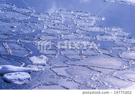 Lotus Leave Ice Nogei（網走市） 19775802