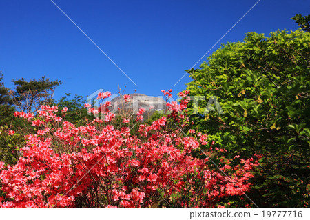 那須高原Hachimanzaki Azalea社區 19777716