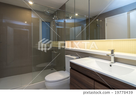 Luxury Interior bathroom 19778439