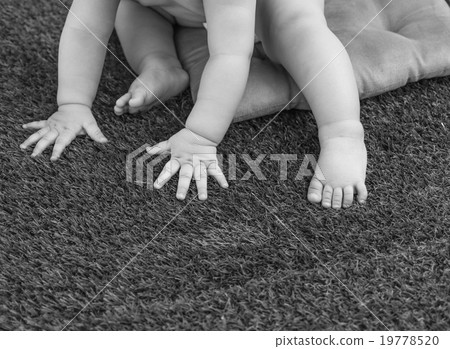 baby hands and feet on the grass 19778520