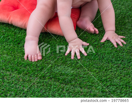 baby hands and feet on the grass 19778665