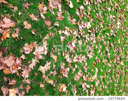 London Green Park in the fall 19779684