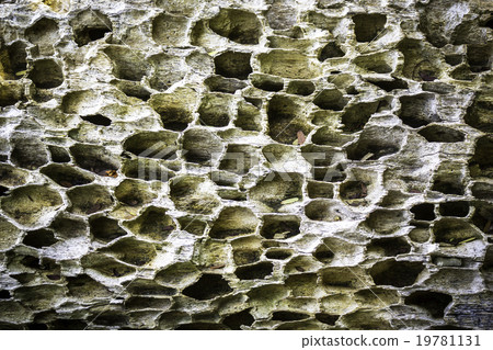 Old weathered wood background Old weathered wood background 19781131