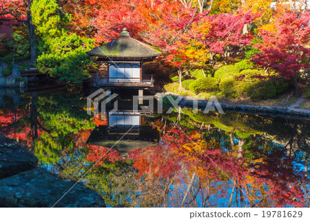 Wakayama Castle Autumn leaves of the autumn leaves garden and autumn leaves reflected in the pond 19781629