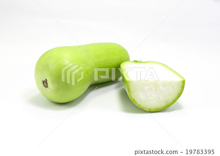 Calabash bottle gourd 19783395
