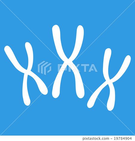 Chromosomes Flat Icon Chromosomes Flat Icon 19784904