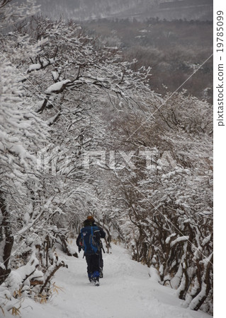 雪徑 雪徑 19785099