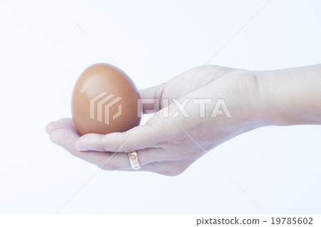 Hand holding egg isolated on white background Hand holding egg isolated on white background 19785602