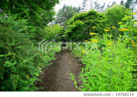 北海道紫竹園 19788114