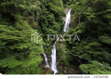 Hara Fudo Fall 3 Hara Fudo Fall 3 19789390