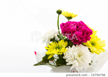 Carnation and chrysanthemum flower in vase. Carnation and chrysanthemum flower in vase. 19790796