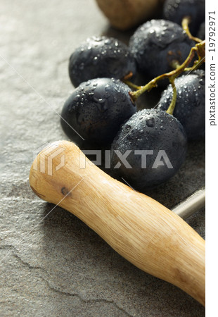 corkscrew and grape corkscrew and grape 19792971