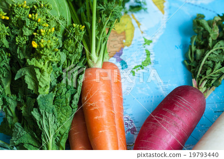 蔬菜出口和農業技術的形象 19793440