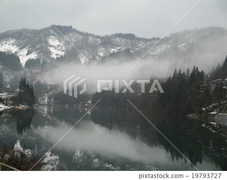 Specular surface 19793727