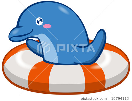 Dolphins playing with floating rings 19794113