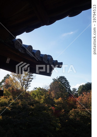 東福寺(取自Tonenbashi) 東福寺(取自Tonenbashi) 19794513