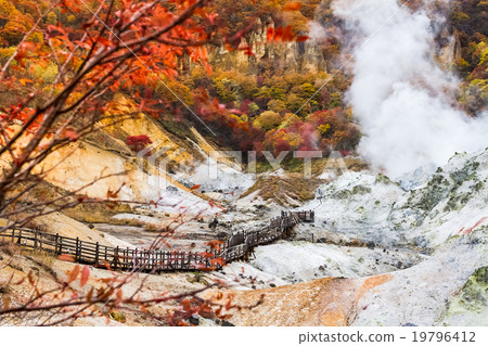 autumn at Jigokudani hell valley, Hokkaido, Japan 19796412