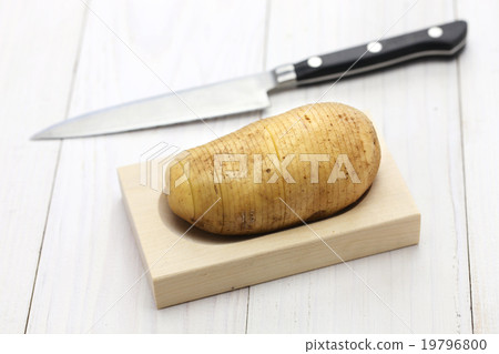 哈塞爾回土豆 19796800