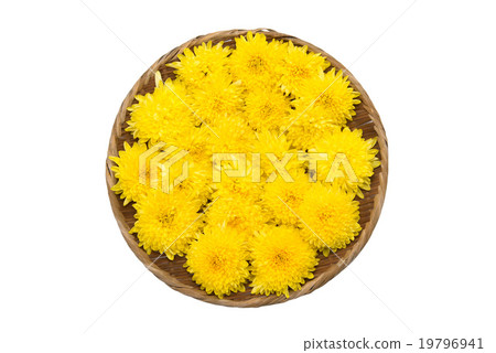 edible chrysanthemum edible chrysanthemum 19796941