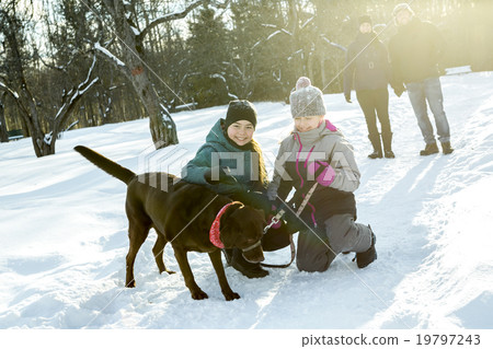 girls with dog in winter park girls with dog in winter park 19797243