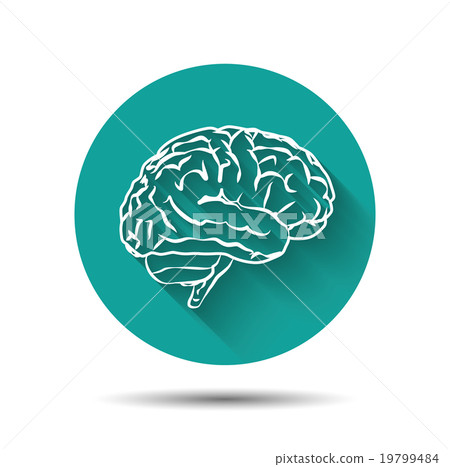 Human brain icon flat illustraton Human brain icon flat illustraton 19799484