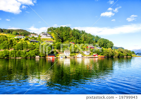 Meadows and village on Hardanger Fiord. Meadows and village on Hardanger Fiord. 19799943