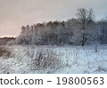 winter evening landscape with tree and snow 19800563
