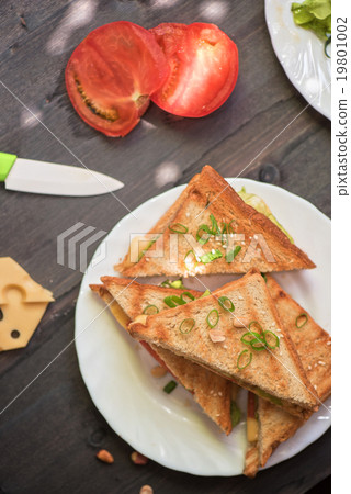 Cheese sandwich photo Cheese sandwich photo 19801002