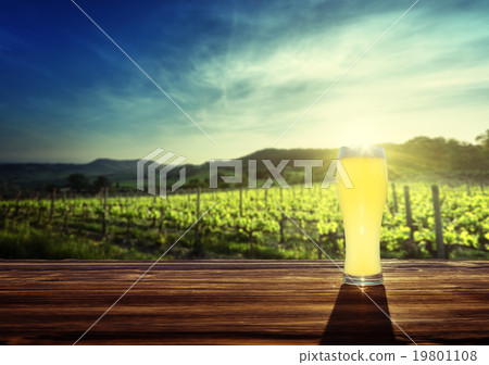 beer and vineyard in sunset time 19801108
