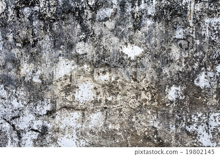 Grunge texture concrete wall 19802145
