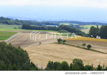 Biei no Oka 19802437