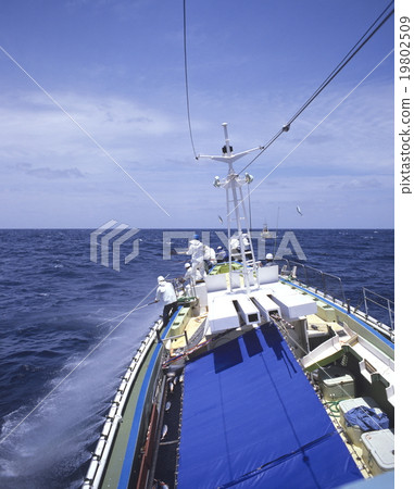 Bonito piercing fishing fishing Bonito piercing fishing fishing 19802509