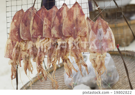 Dried squid hang on the line Dried squid hang on the line 19802822