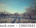 Road in the winter forest landscape 19803842