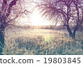 Beautiful winter landscape 19803845