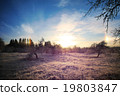 Cold winter landscape with sunset and blue sky 19803847
