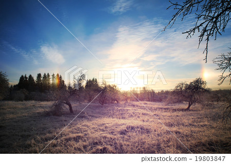 Cold winter landscape with sunset and blue sky Cold winter landscape with sunset and blue sky 19803847