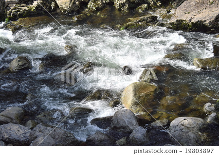Autumnal leaves of the Keiko River and Mt. Okurayama 19803897