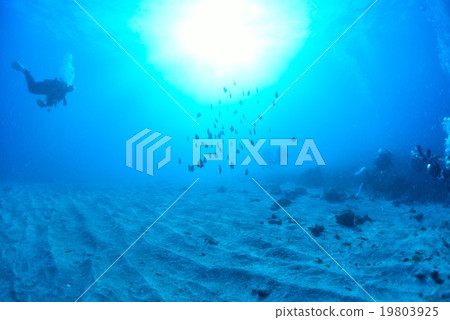 A sea on a sunny day A sea on a sunny day 19803925