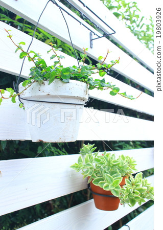 Gardening image 19803926