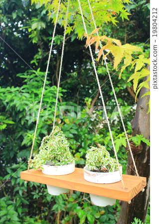 Gardening image Gardening image 19804212