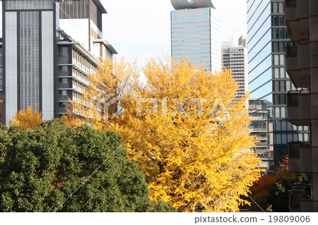 銀杏和大倉酒店附樓 銀杏和大倉酒店附樓 19809006