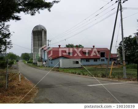 Scenery with farms in the Tokachi region of Hokkaido Scenery with farms in the Tokachi region of Hokkaido 19810839