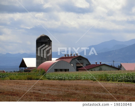 Scenery with farms in the Tokachi region of Hokkaido Scenery with farms in the Tokachi region of Hokkaido 19810848