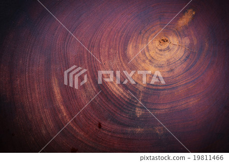 wood texture background 19811466