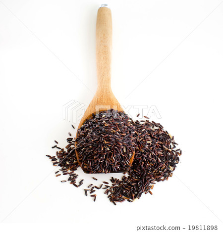Thai black jasmine rice Rice berry in wooden spoon Thai black jasmine rice Rice berry in wooden spoon 19811898