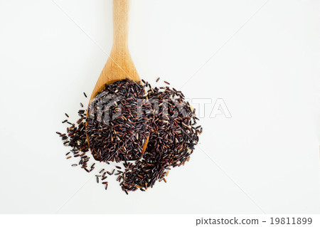 Thai black jasmine rice Rice berry in wooden spoon Thai black jasmine rice Rice berry in wooden spoon 19811899